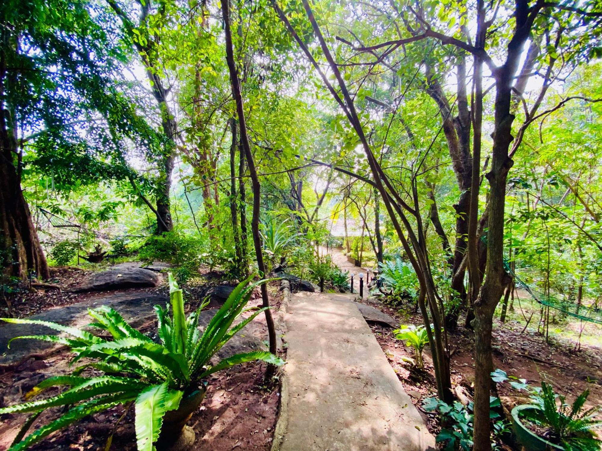 Green House Resort Sigiriya Dış mekan fotoğraf